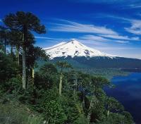 Chile's Lake District Chile's Lake District